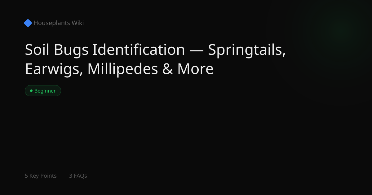 Soil Bugs Identification — Springtails, Earwigs, Millipedes & More ...