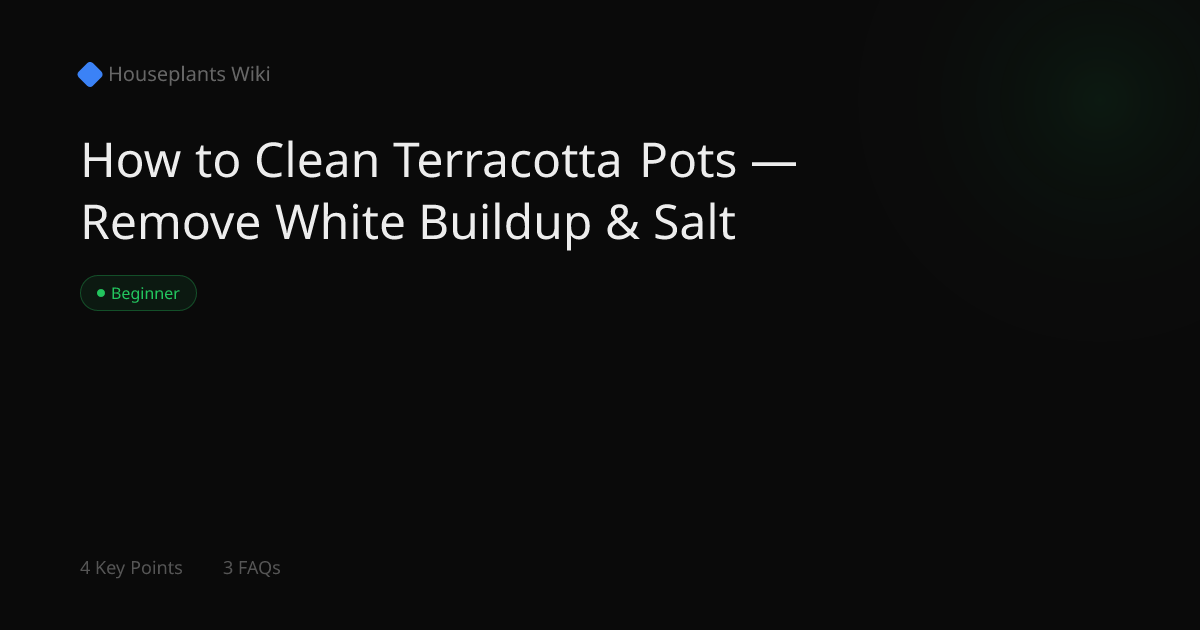 How to Clean Terracotta Pots — Remove White Buildup & Salt ...