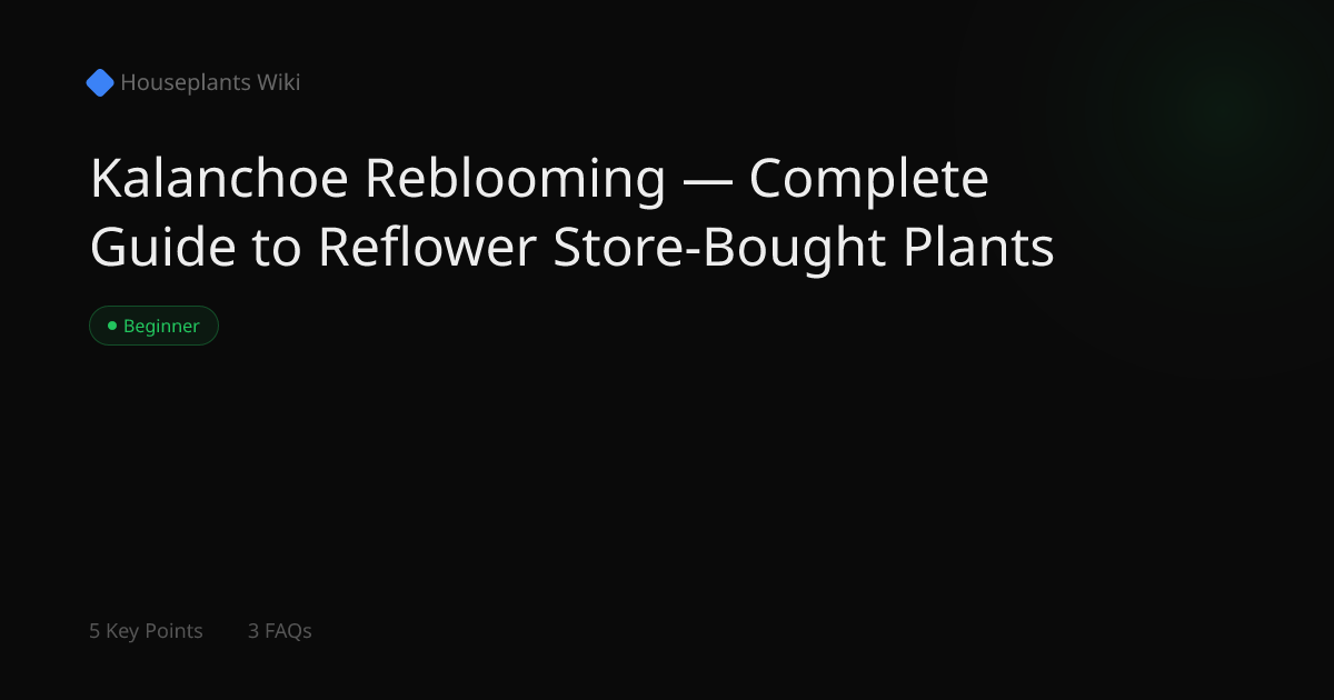 Kalanchoe Reblooming — Complete Guide to Reflower Store-Bought Plants ...