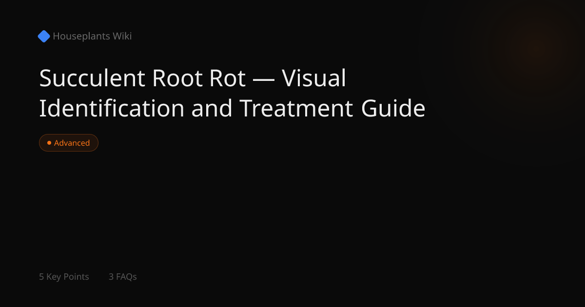 Succulent Root Rot — Visual Identification and Treatment Guide ...